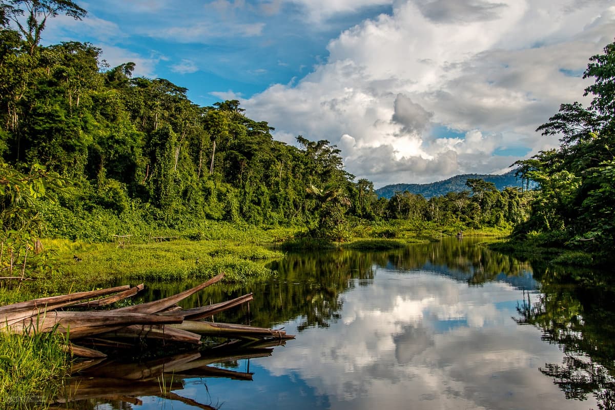 Manu National Park, Peru