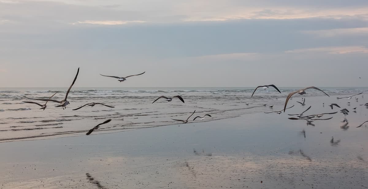 Doñana National Park, Spain