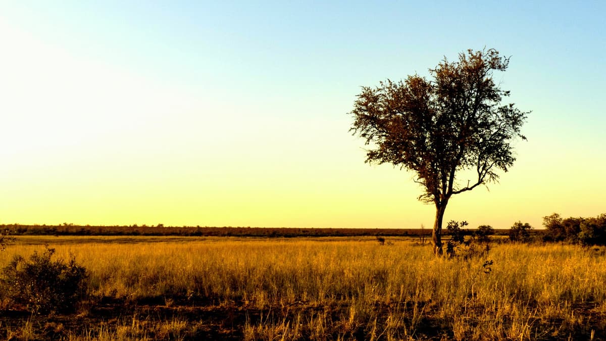 Kruger National Park, South Africa