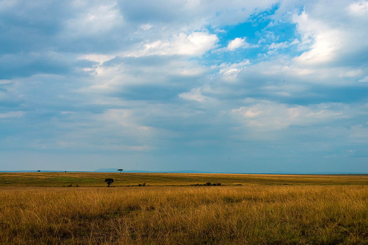 Maasai Mara Conservancy, Kenya