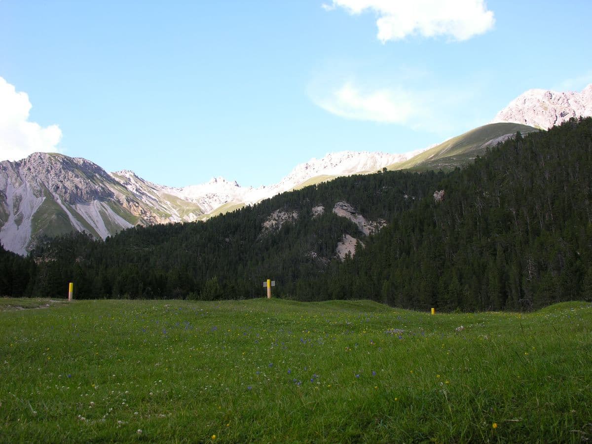 Swiss National Park, Switzerland