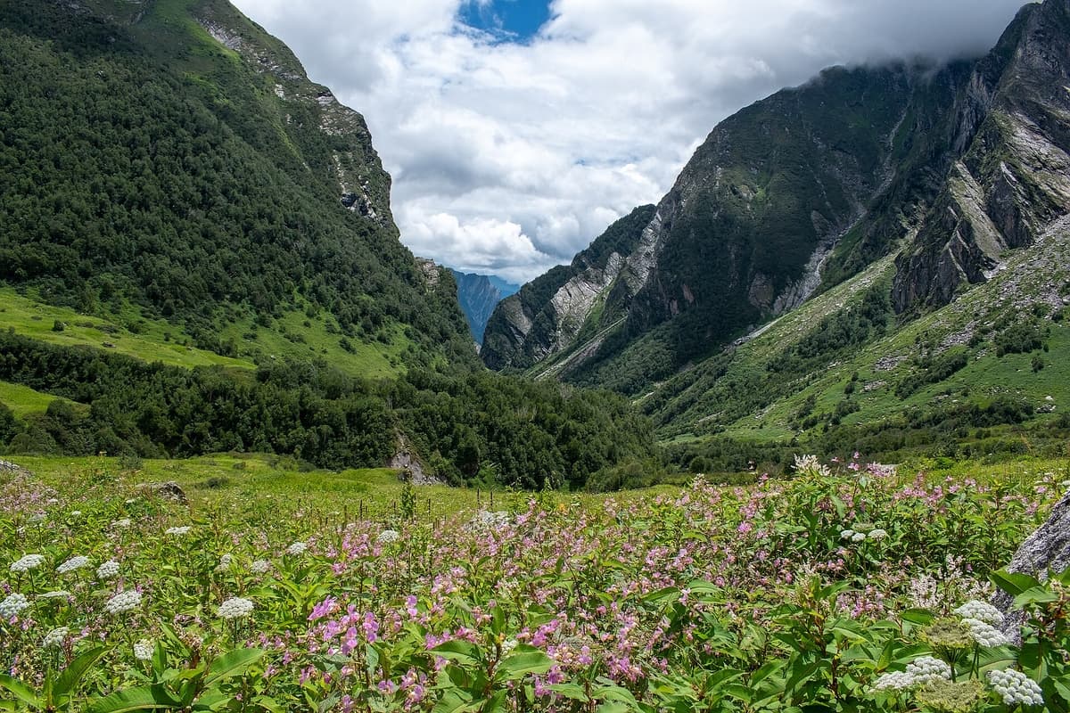 Valley of Flowers National Park, India